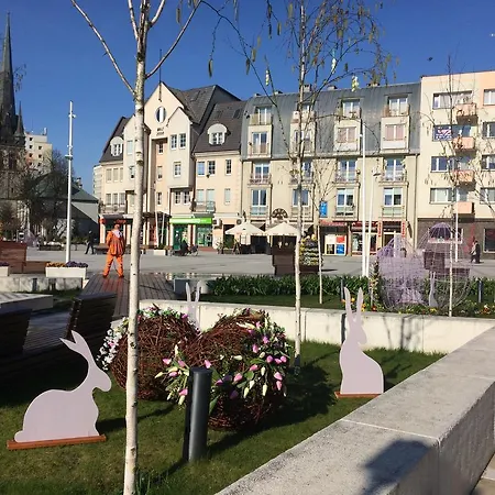 Apartament Telesfor Appartement